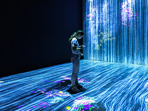 Data Science Internship Program (Intermediate)