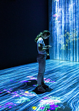 Data Science Internship Program (Intermediate)